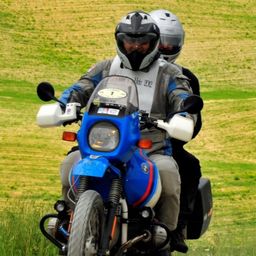 Profile avatar