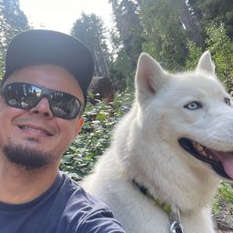 Profile avatar