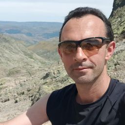 Profile avatar