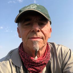 Profile avatar