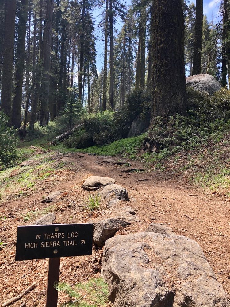 High Sierra, to Eagle’s View & Crescent Meadow