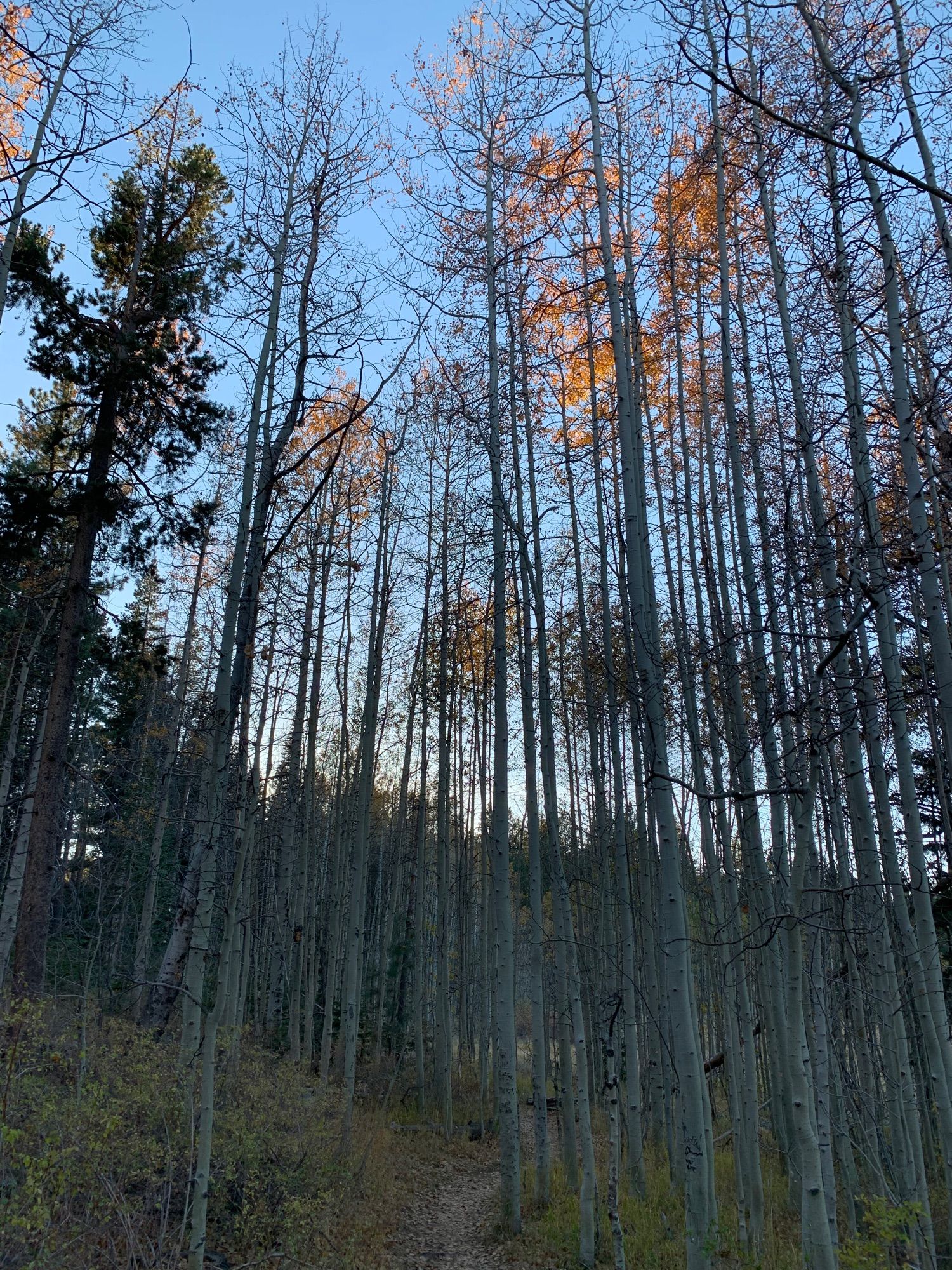 Spooner Lake hike