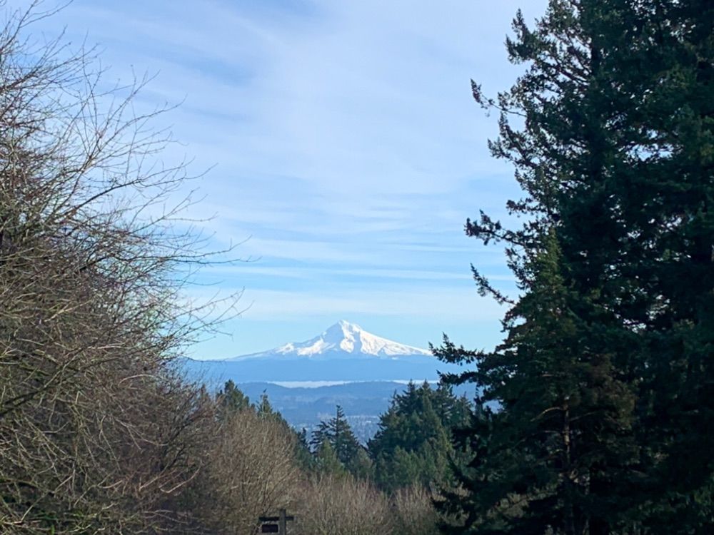New Years Walk