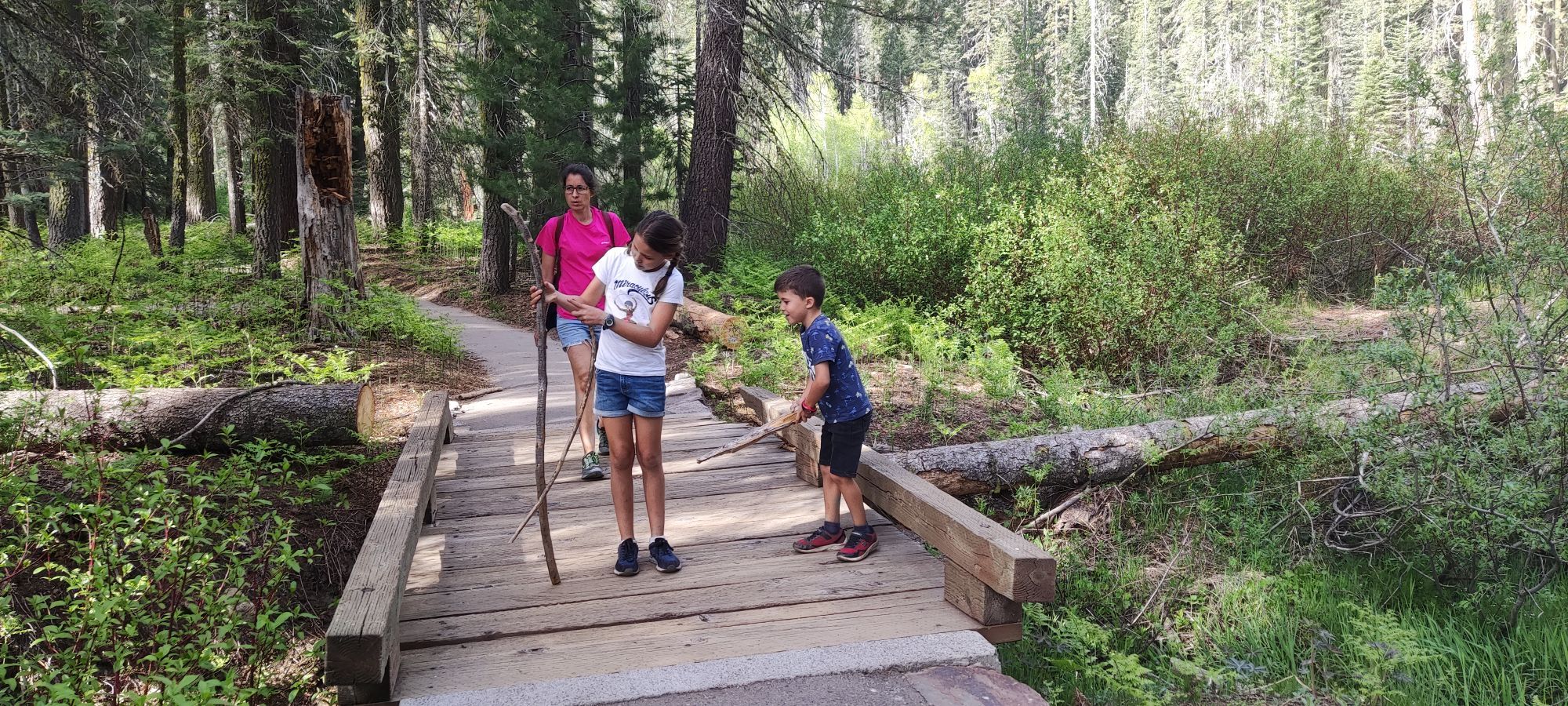 Sequoia National Park
