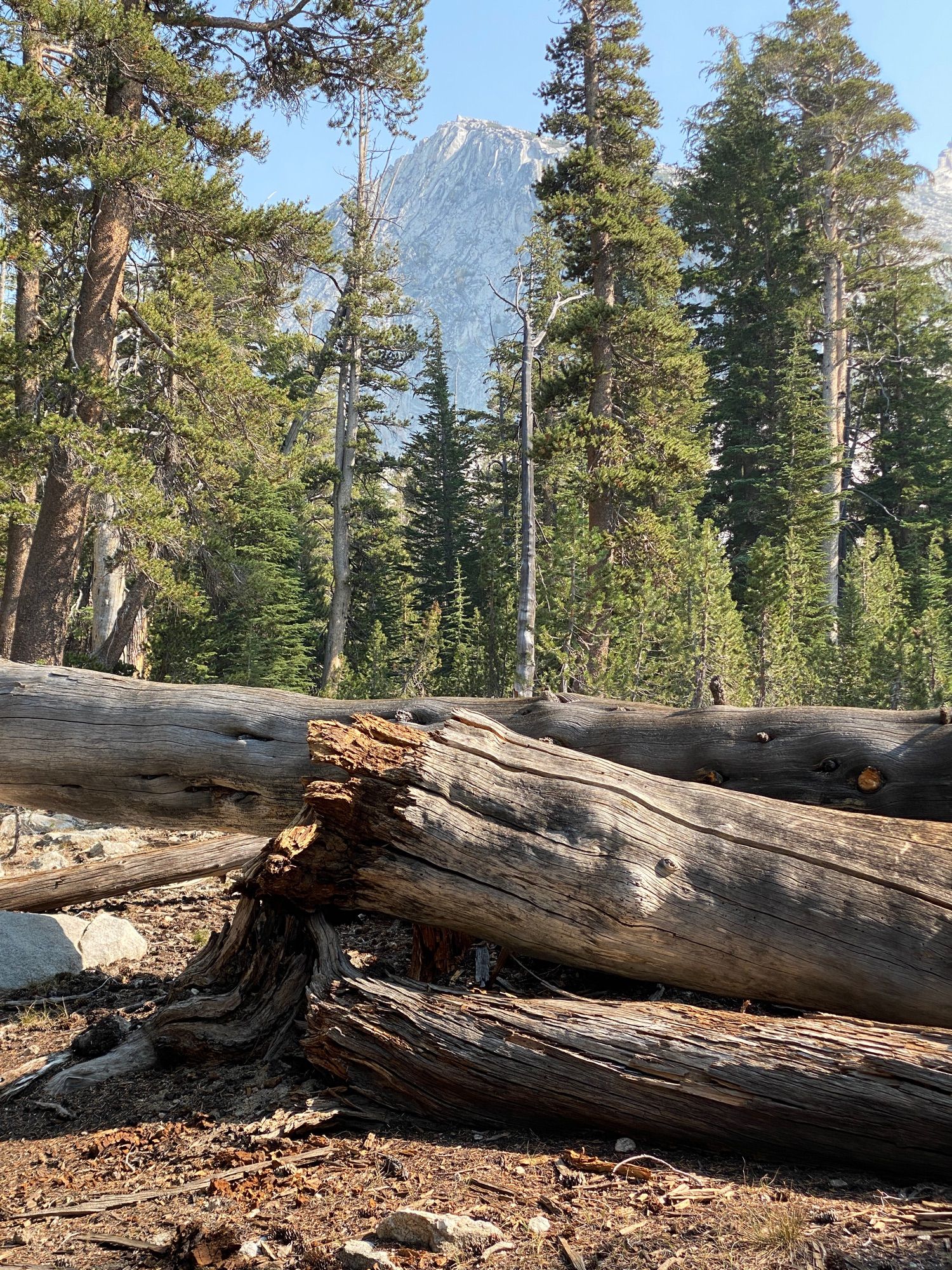 Cathedral Lakes hike