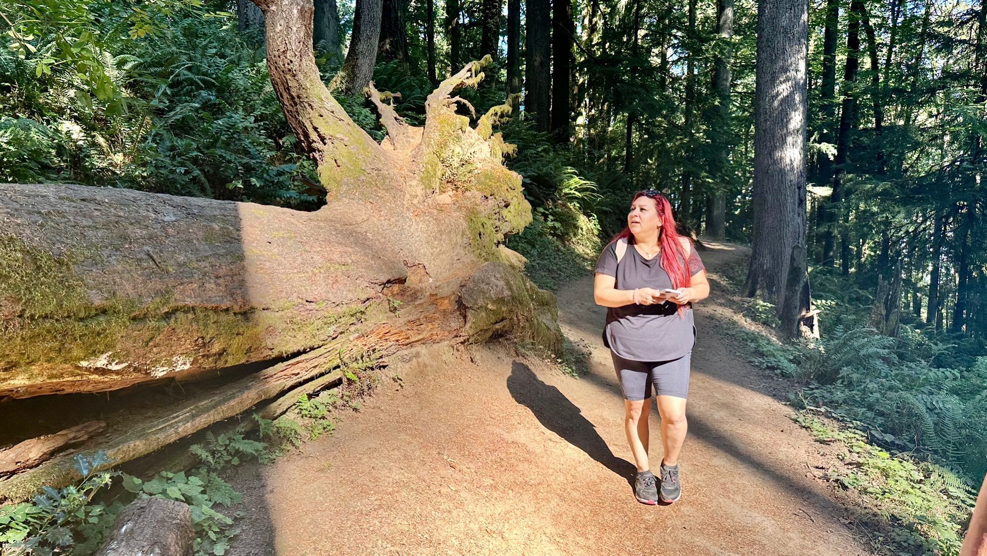 Airbnb Best of Portland Parks 14.Sep.2023