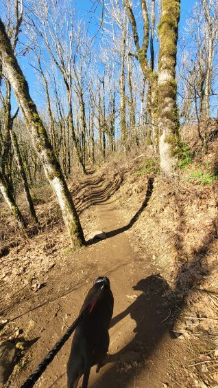 Cape Horn Loop