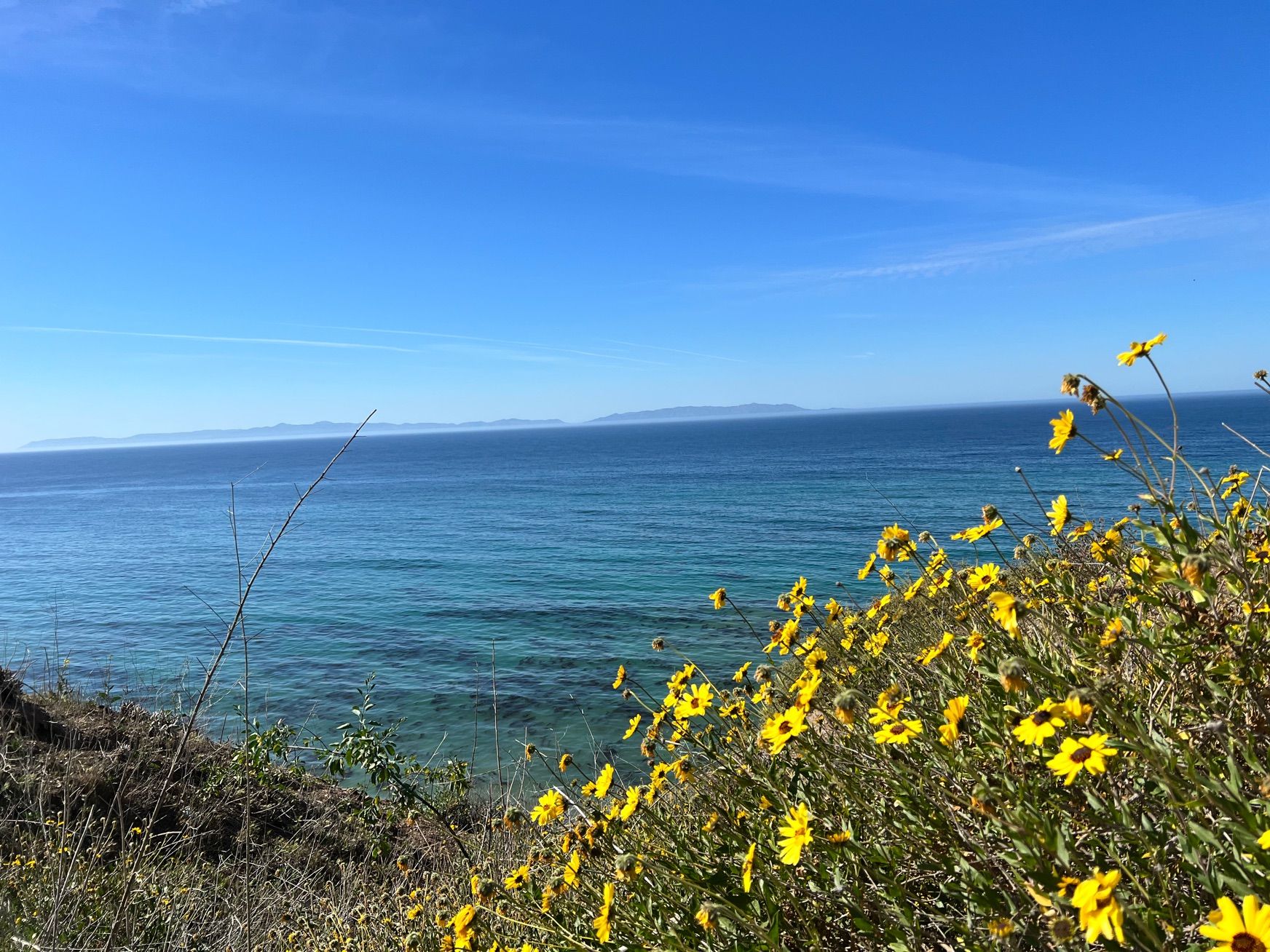 Morning hike