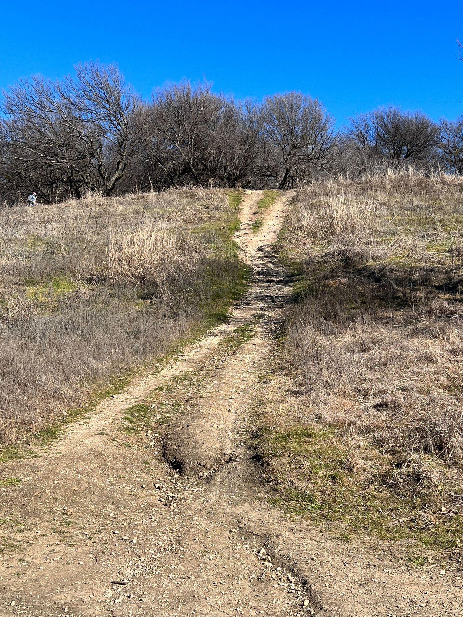 Morning hike