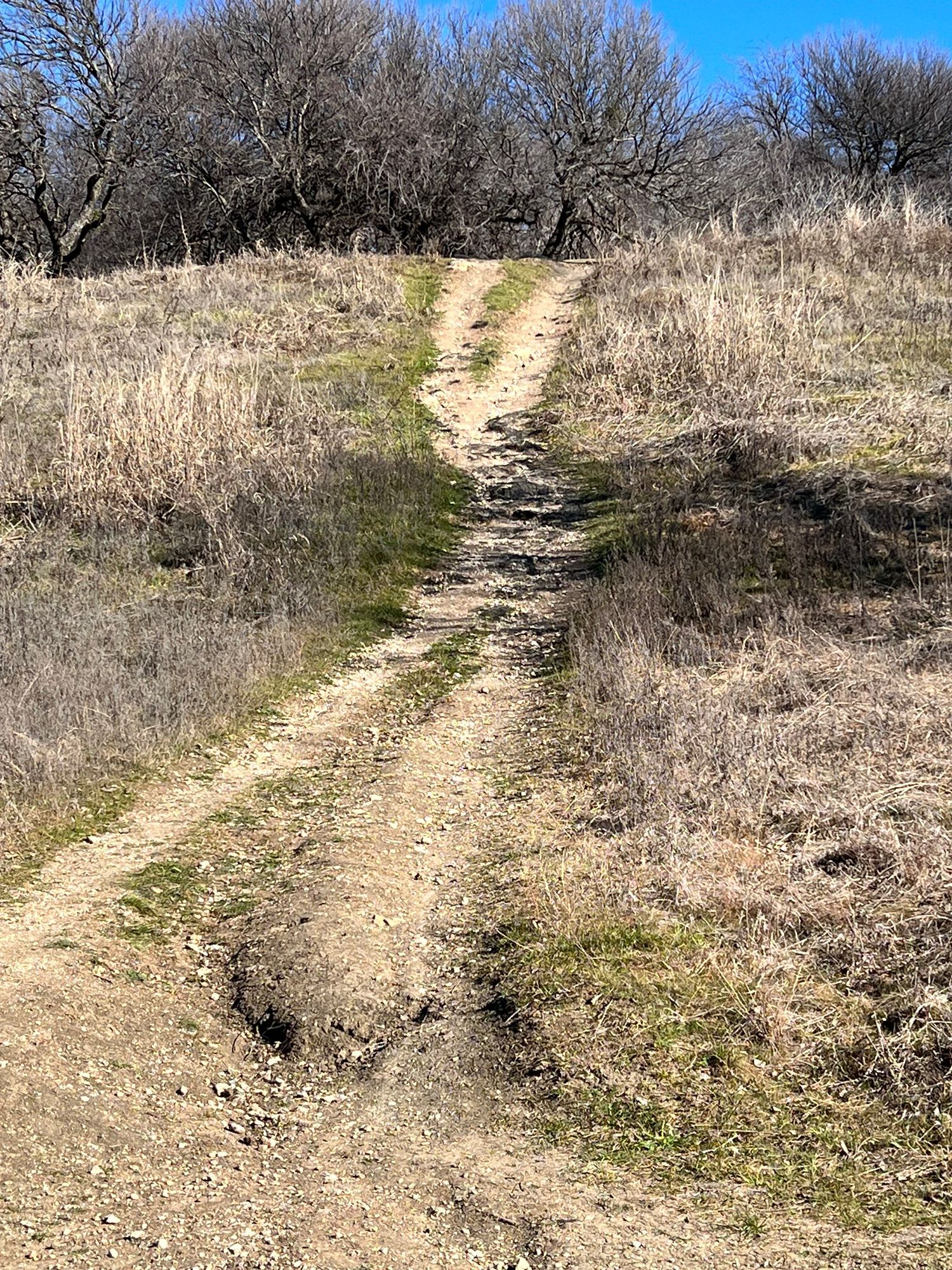 Morning hike