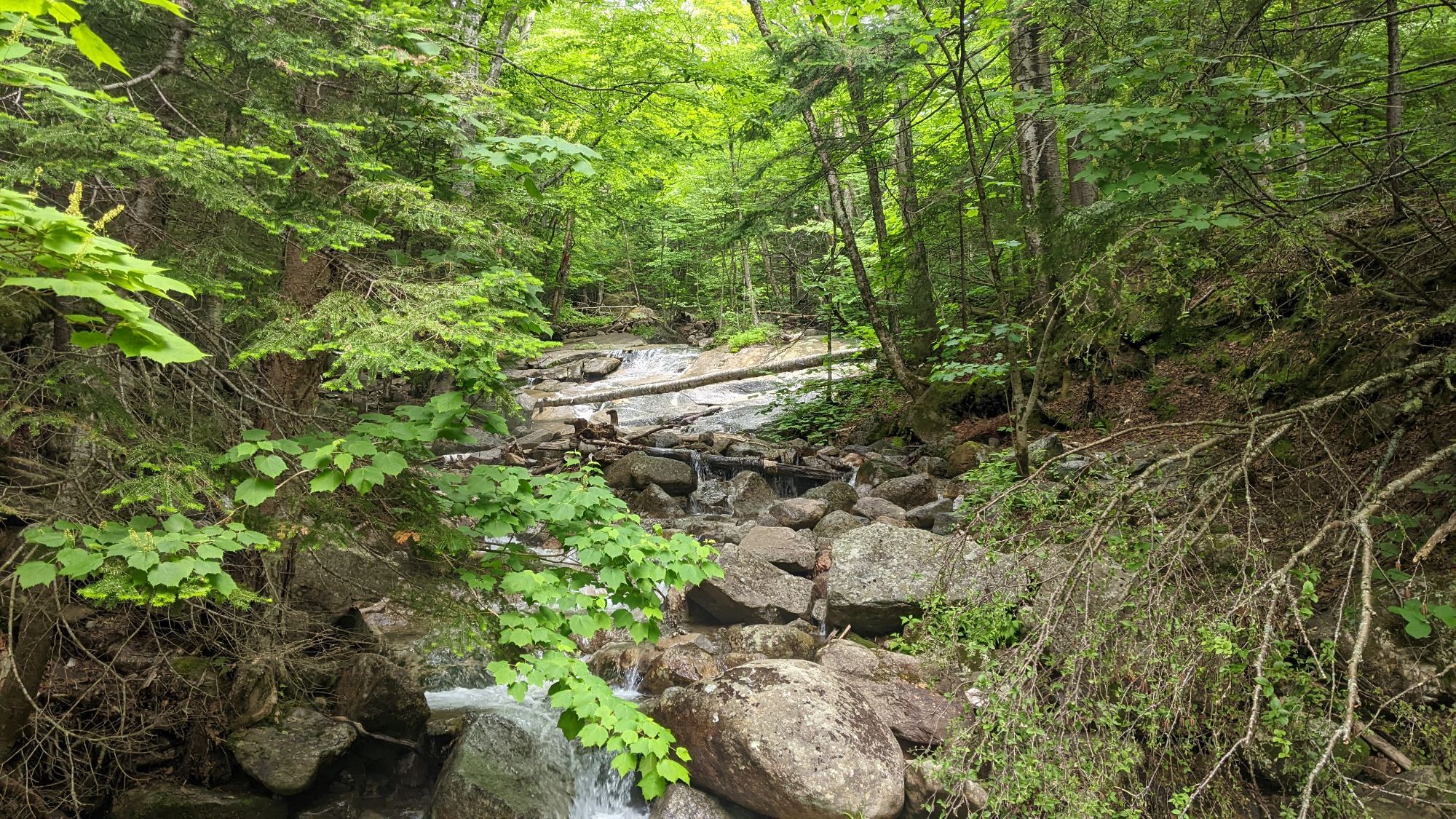 Mount Lafayette