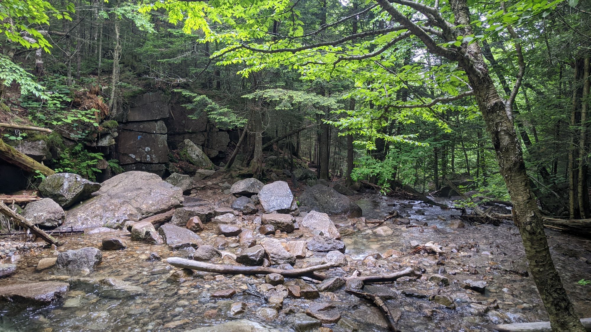 Mount Lafayette