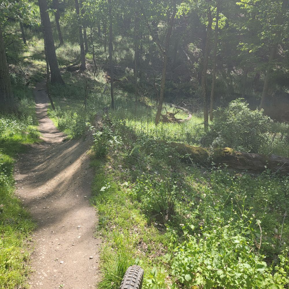 Fun adventure