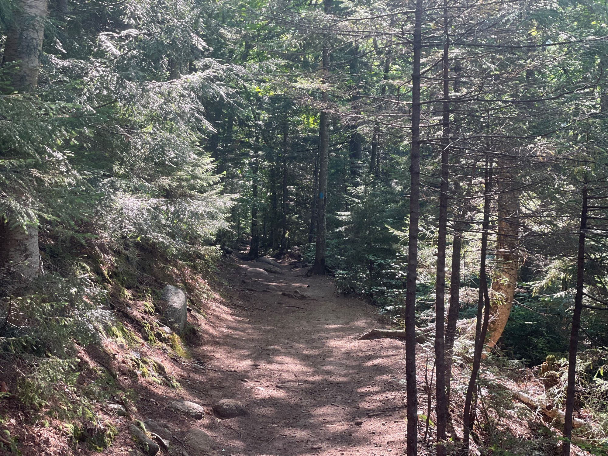 Arethusa Falls Hike