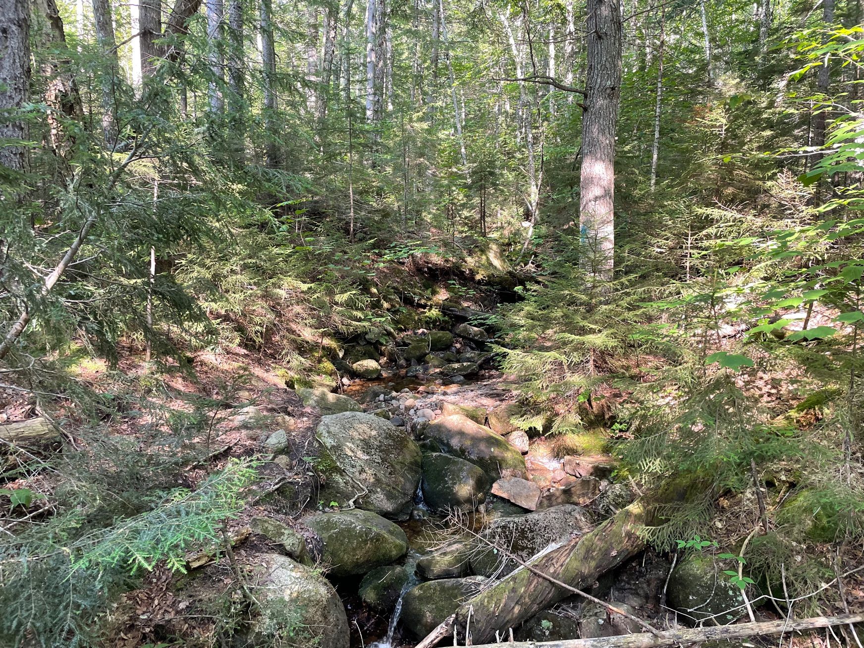 Arethusa Falls Hike