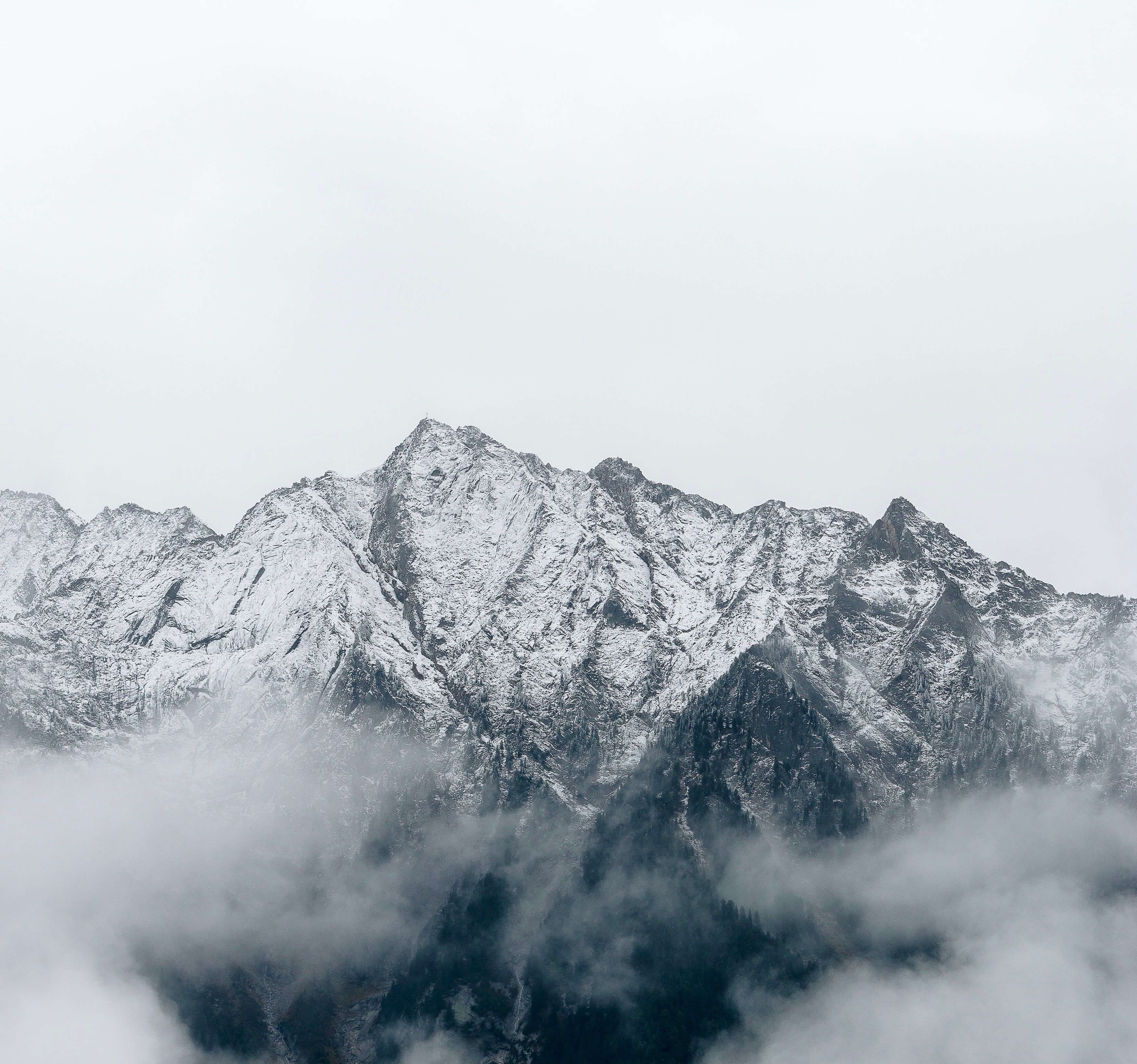 User banner