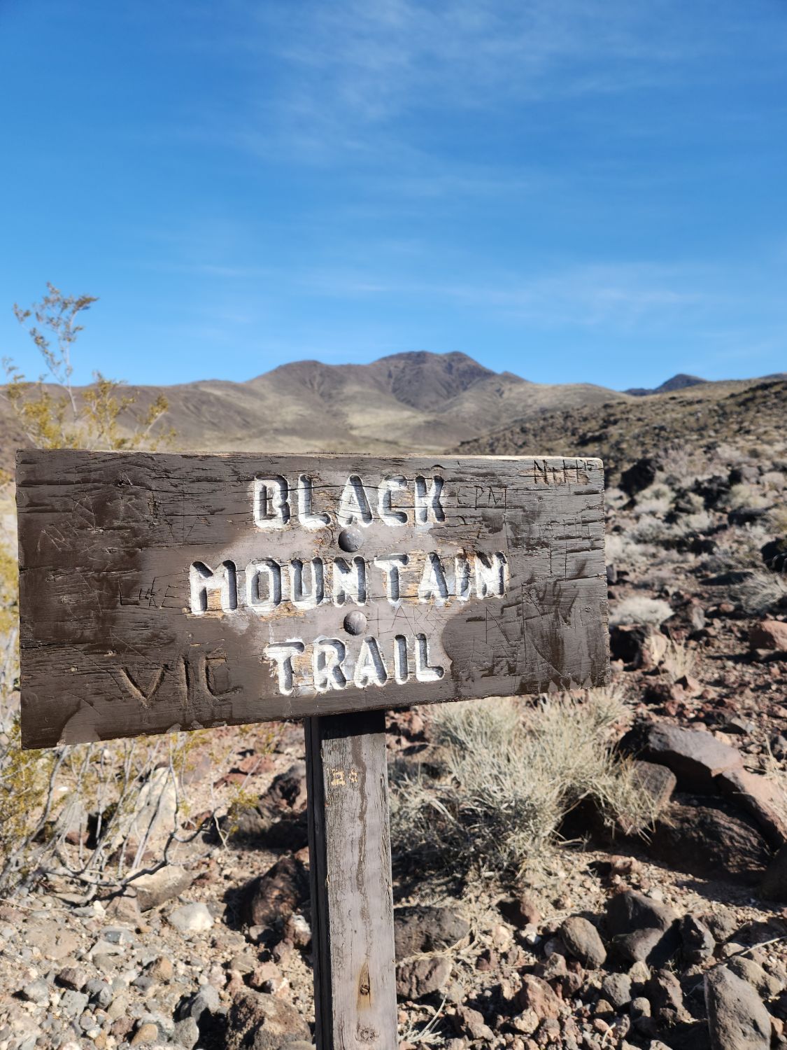 Black Mountain Trail