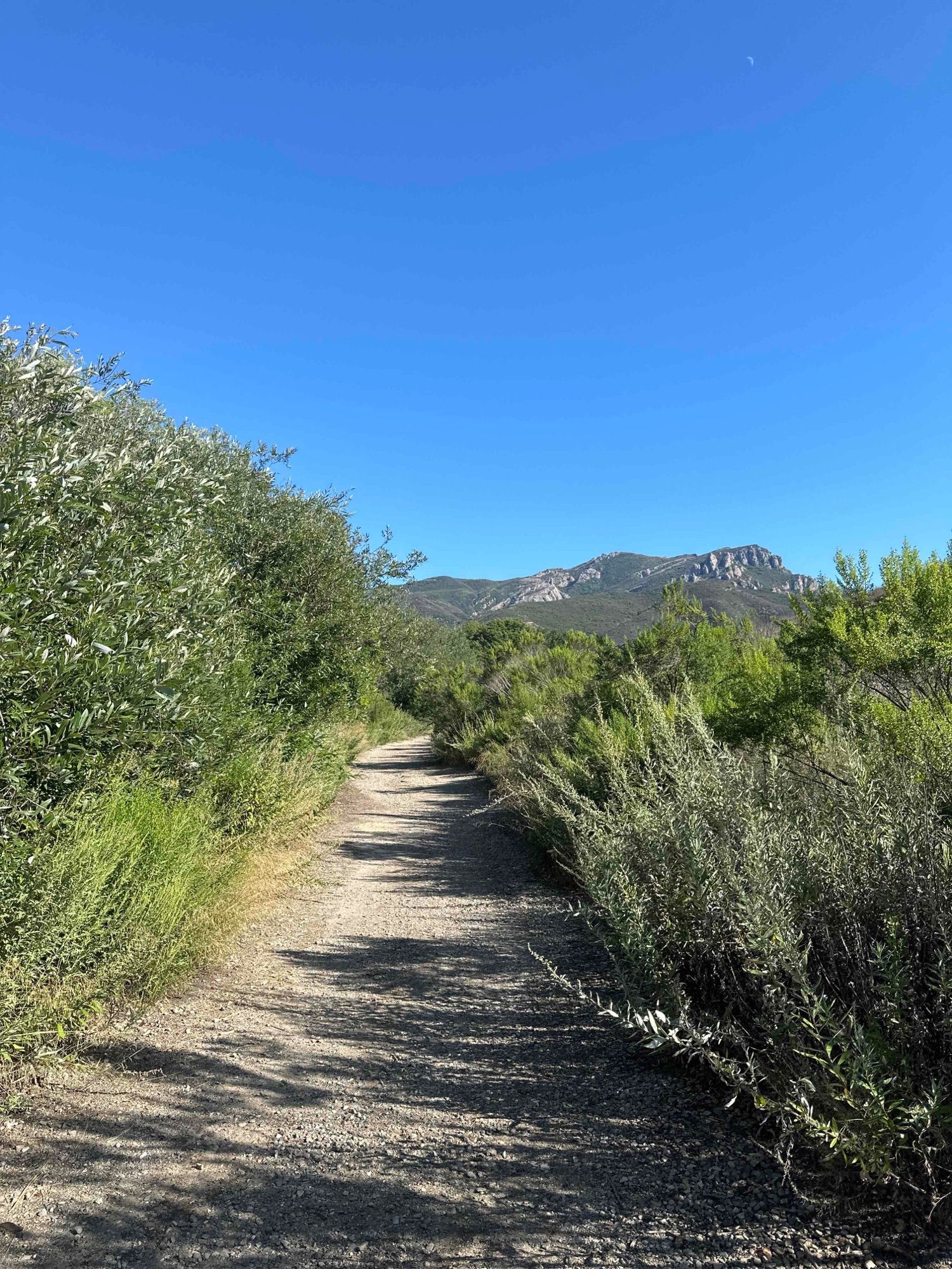 8/22/23 sycamore falls hike