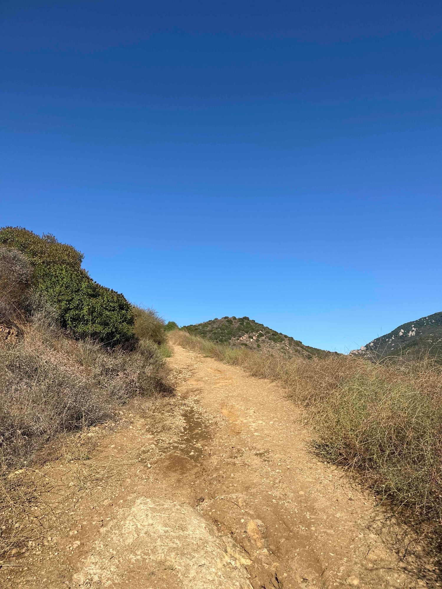 8/22/23 sycamore falls hike