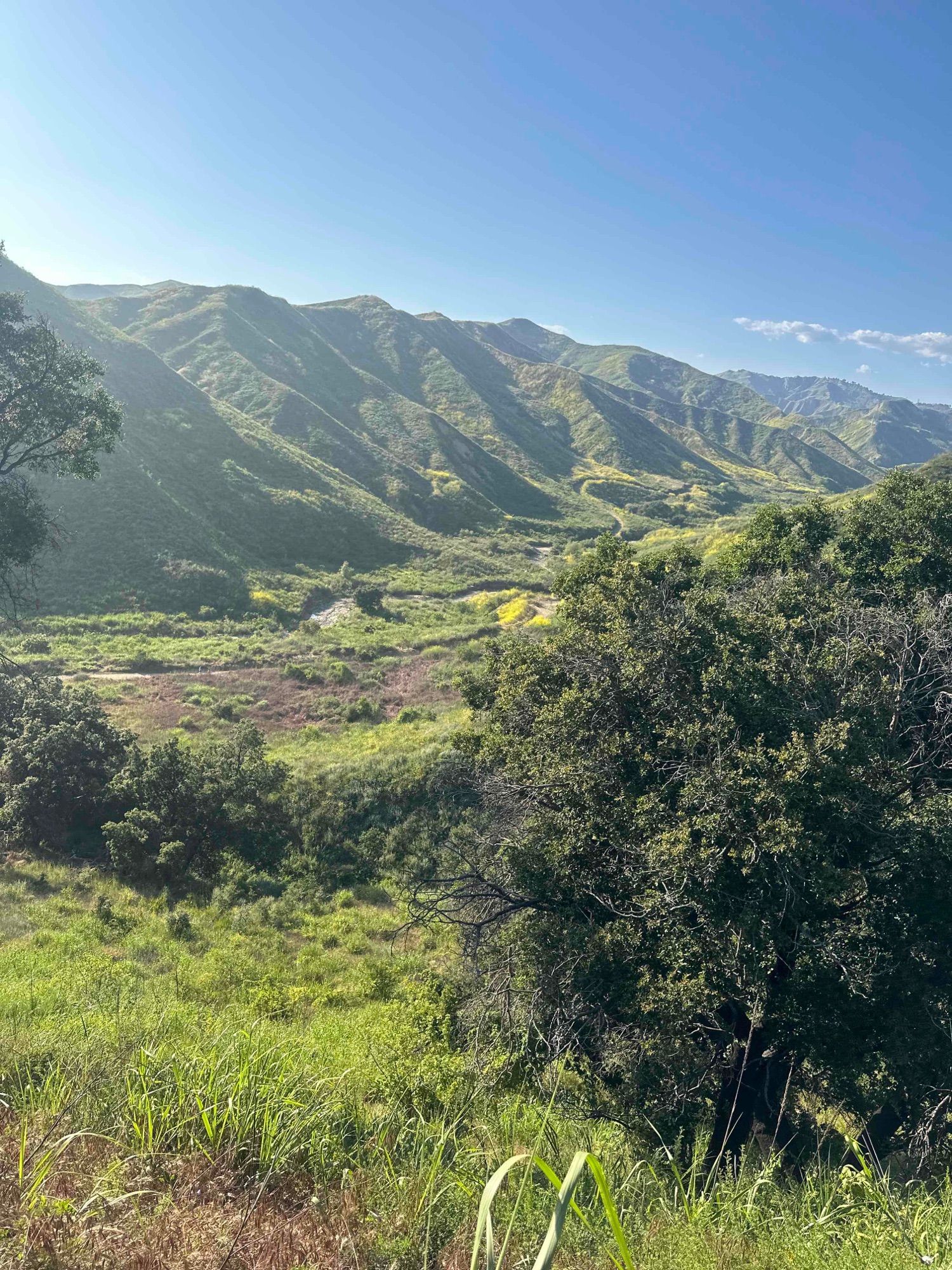 Harmon Canyon 5/17/23