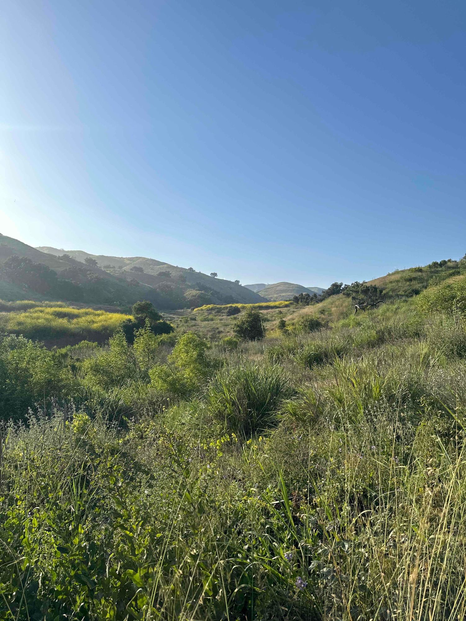 Harmon Canyon 5/17/23