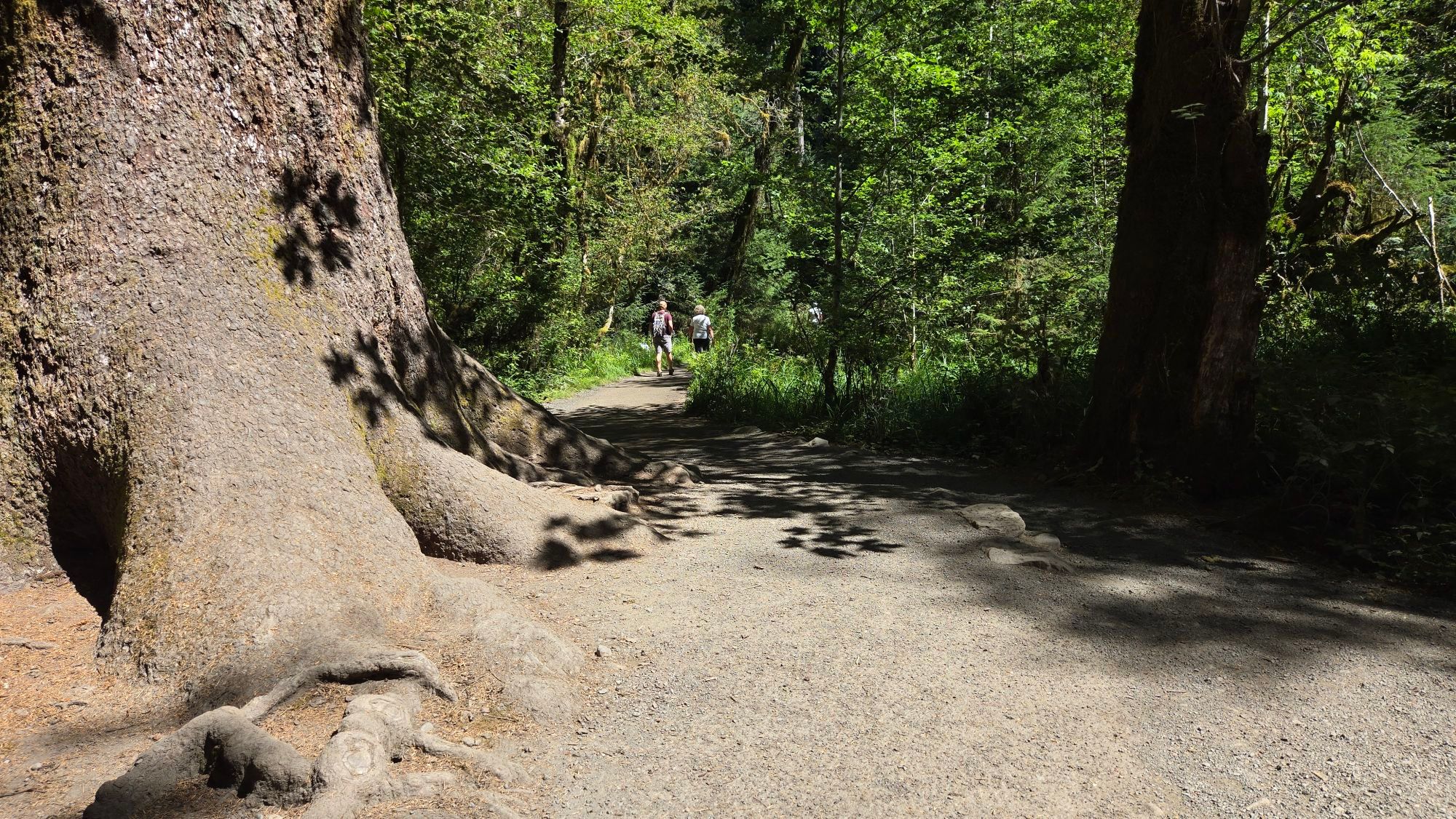 Activity thumbnail