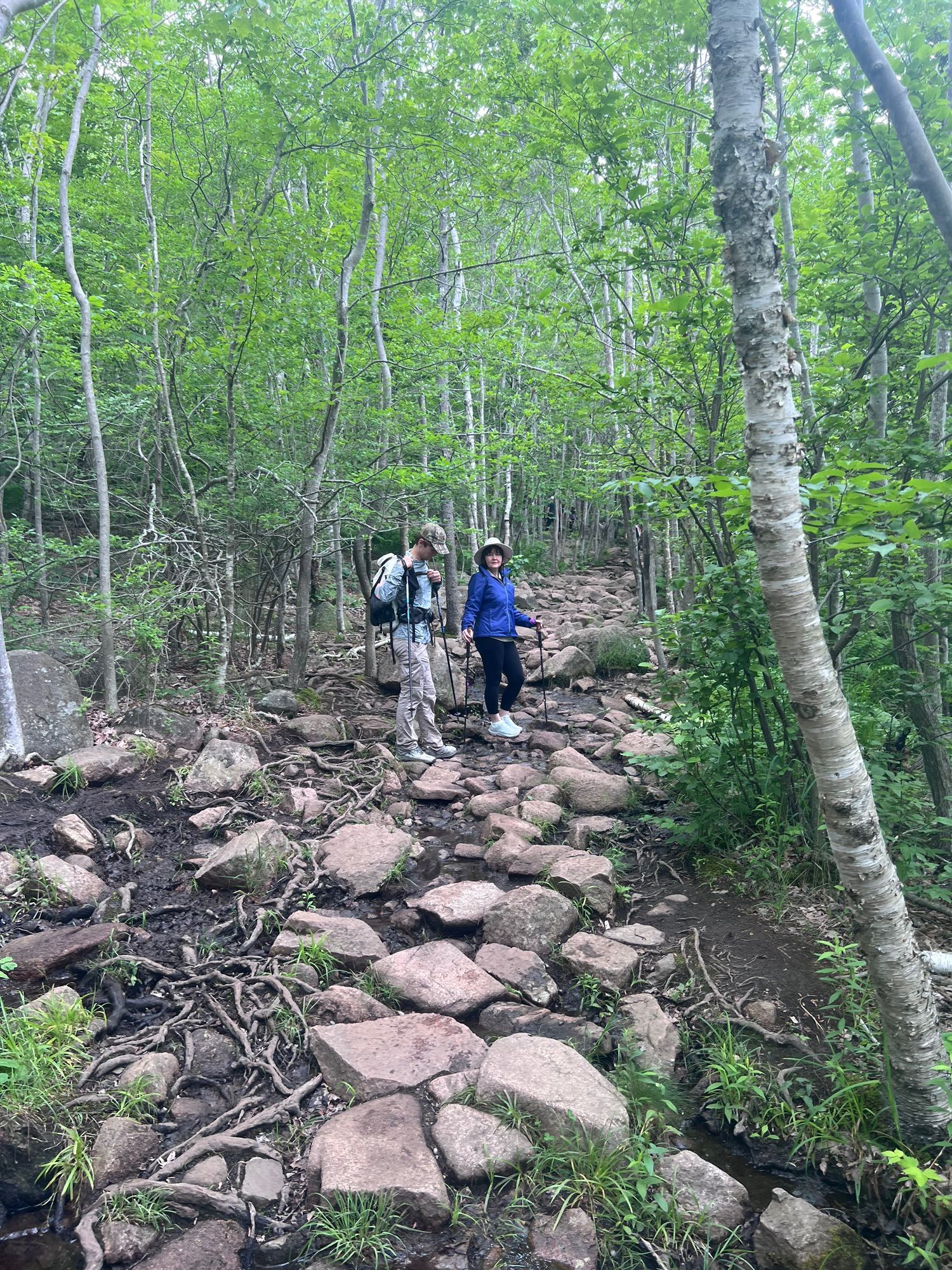 Activity thumbnail