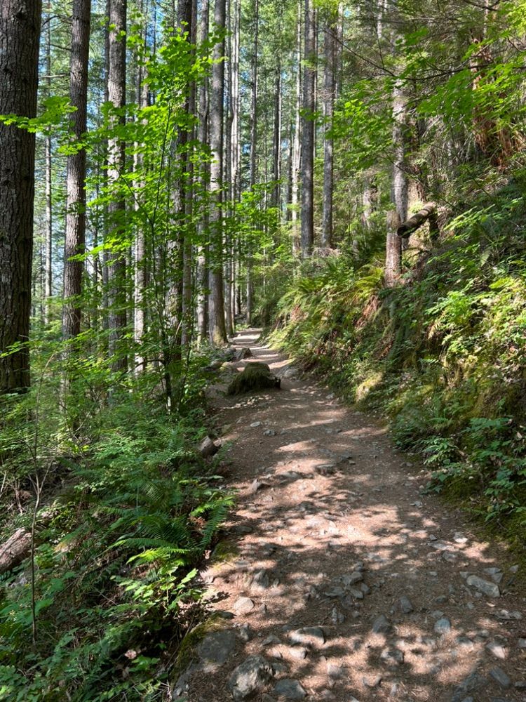 7.60mi Run