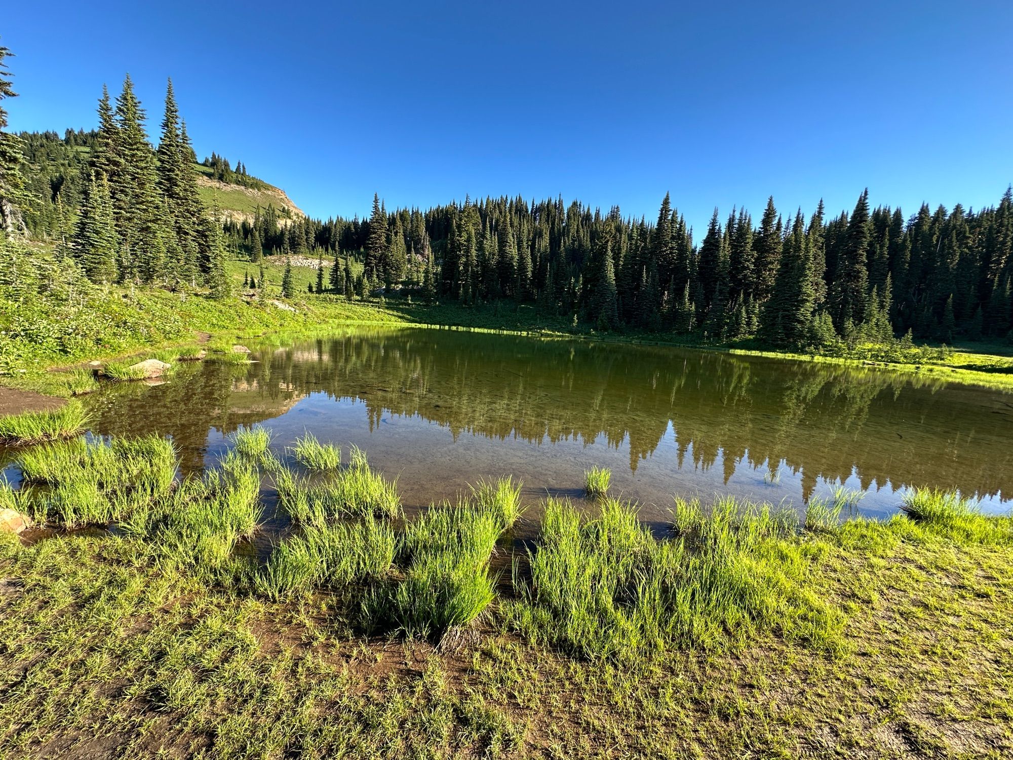 Tipsoo Lake Hike