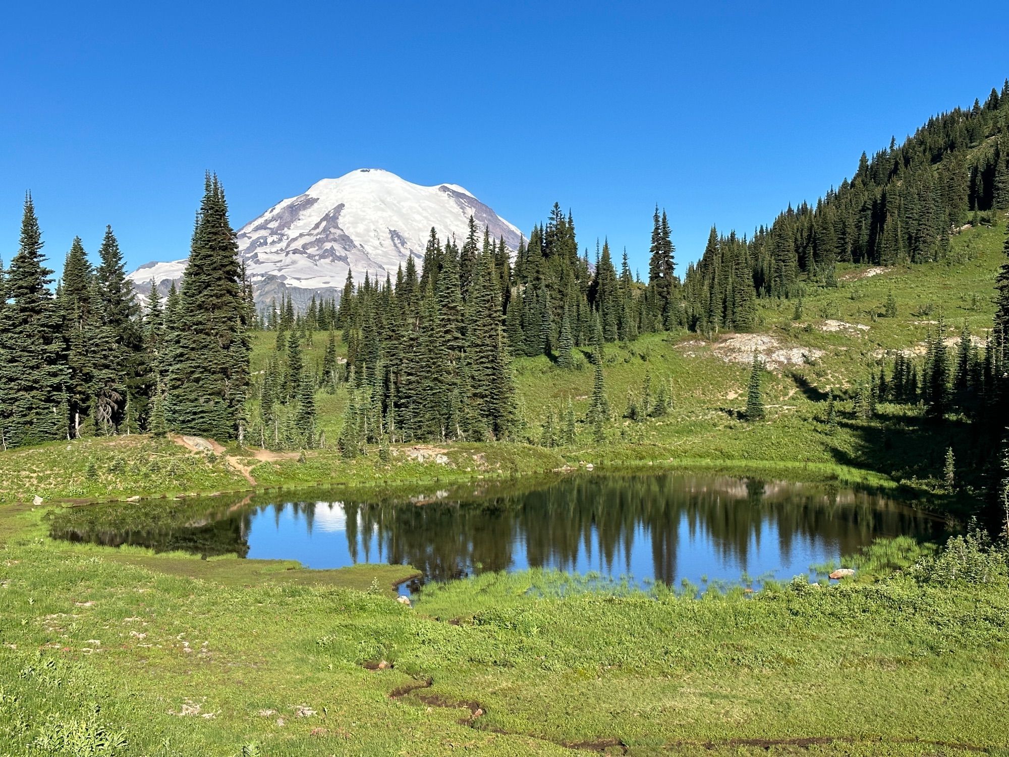Tipsoo Lake Hike
