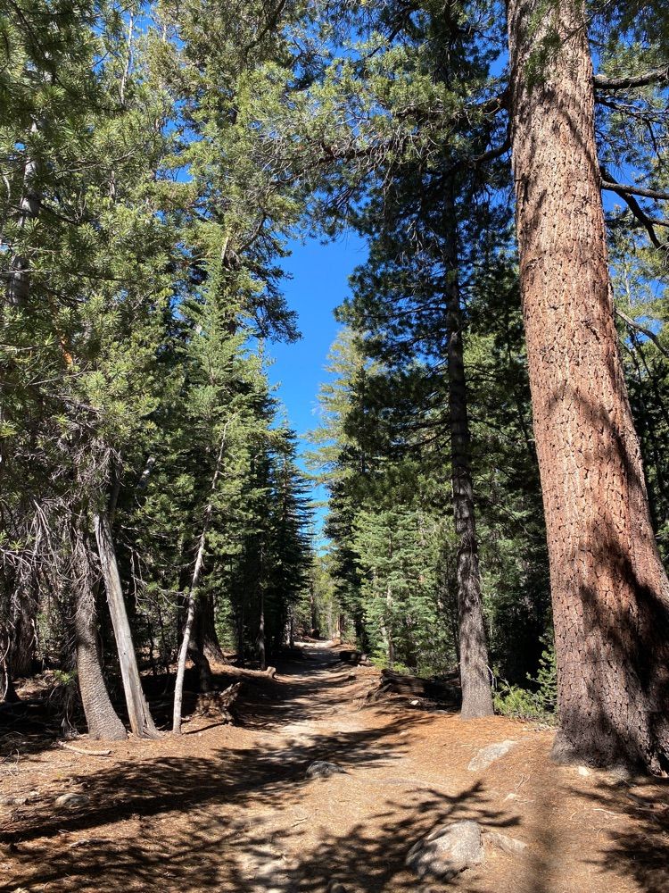 Cathedral Lakes Trail, Yosemite NP