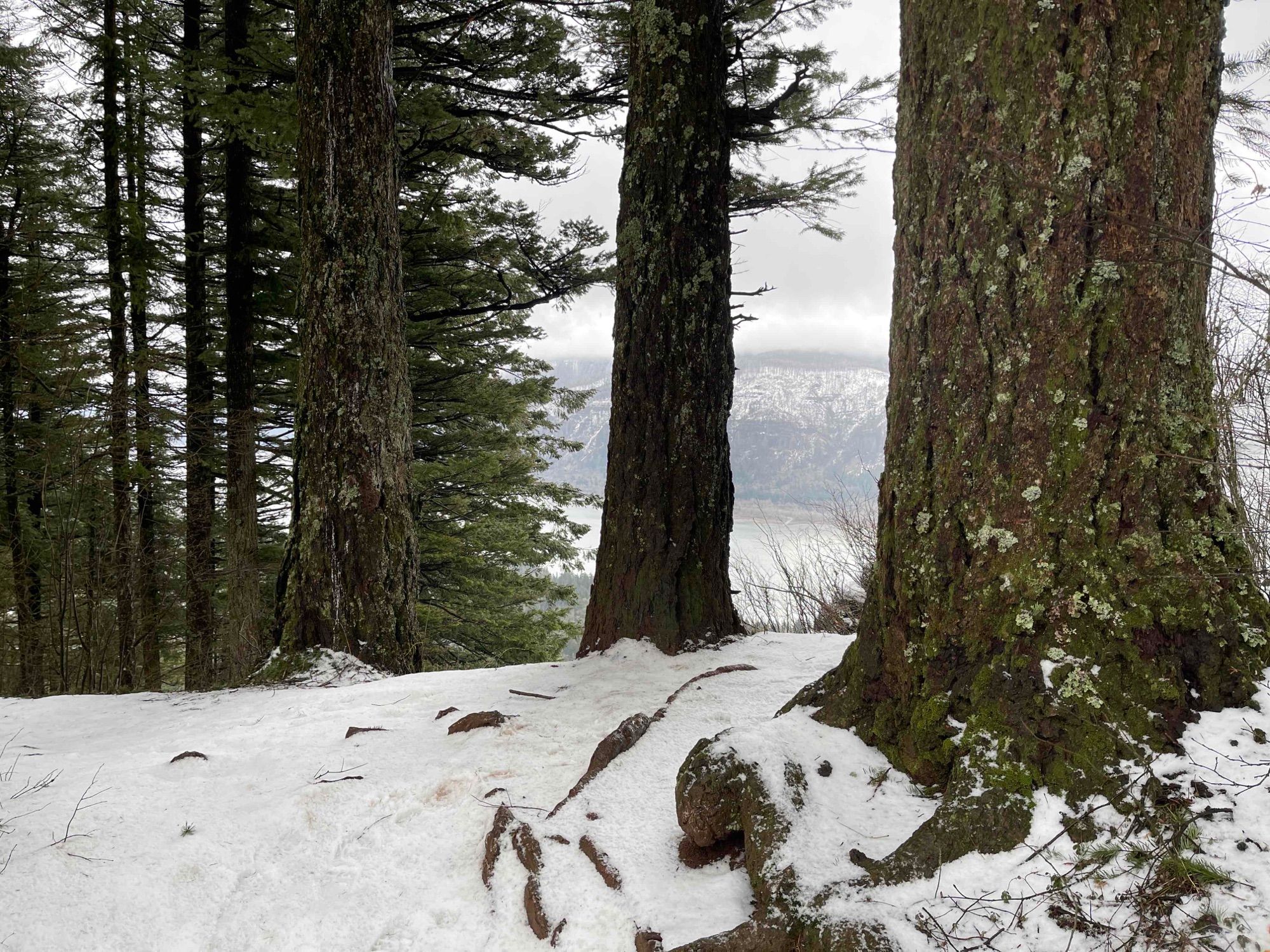 Cape Horn 3/3/23