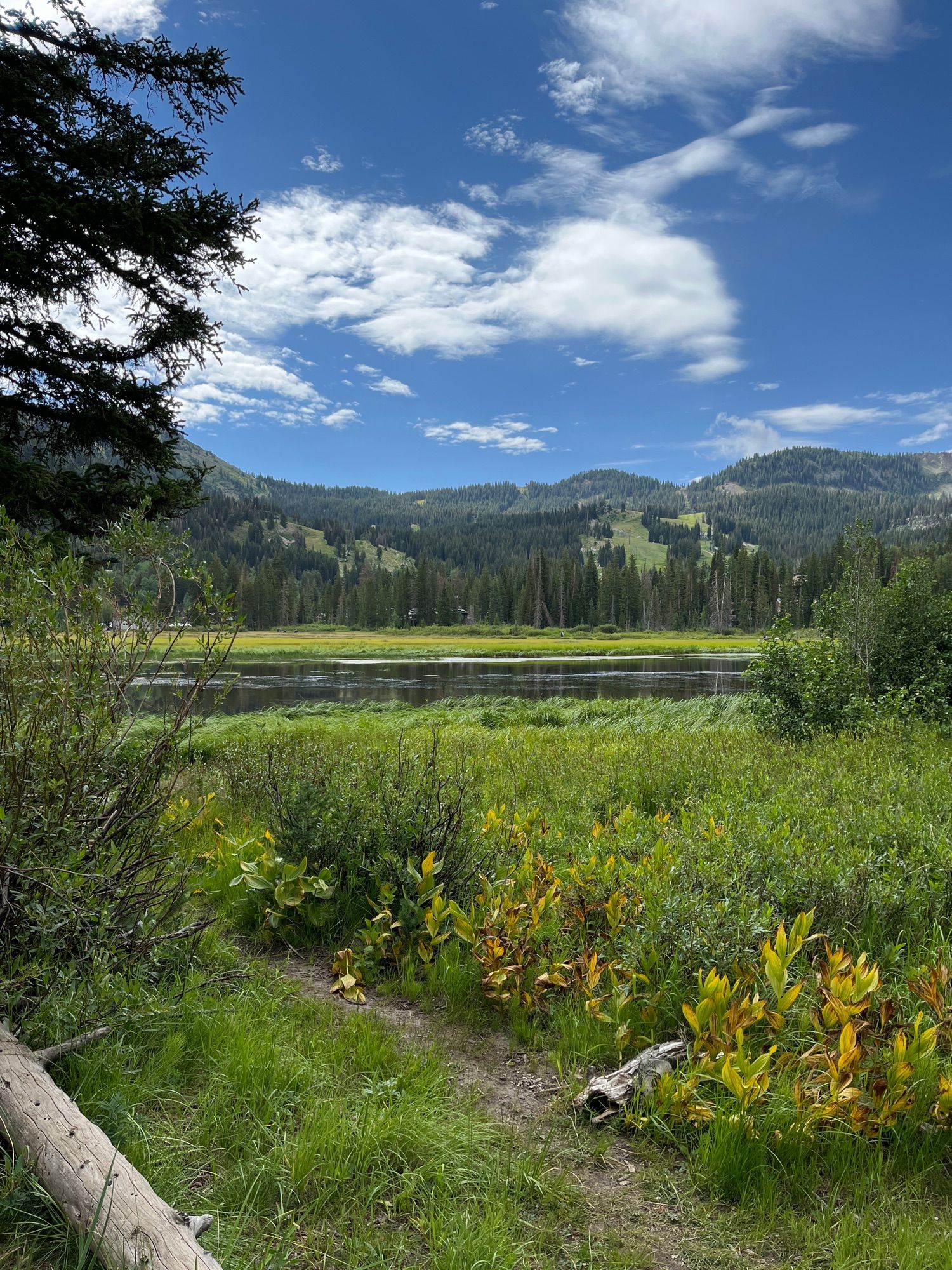 Twin Lakes w/family