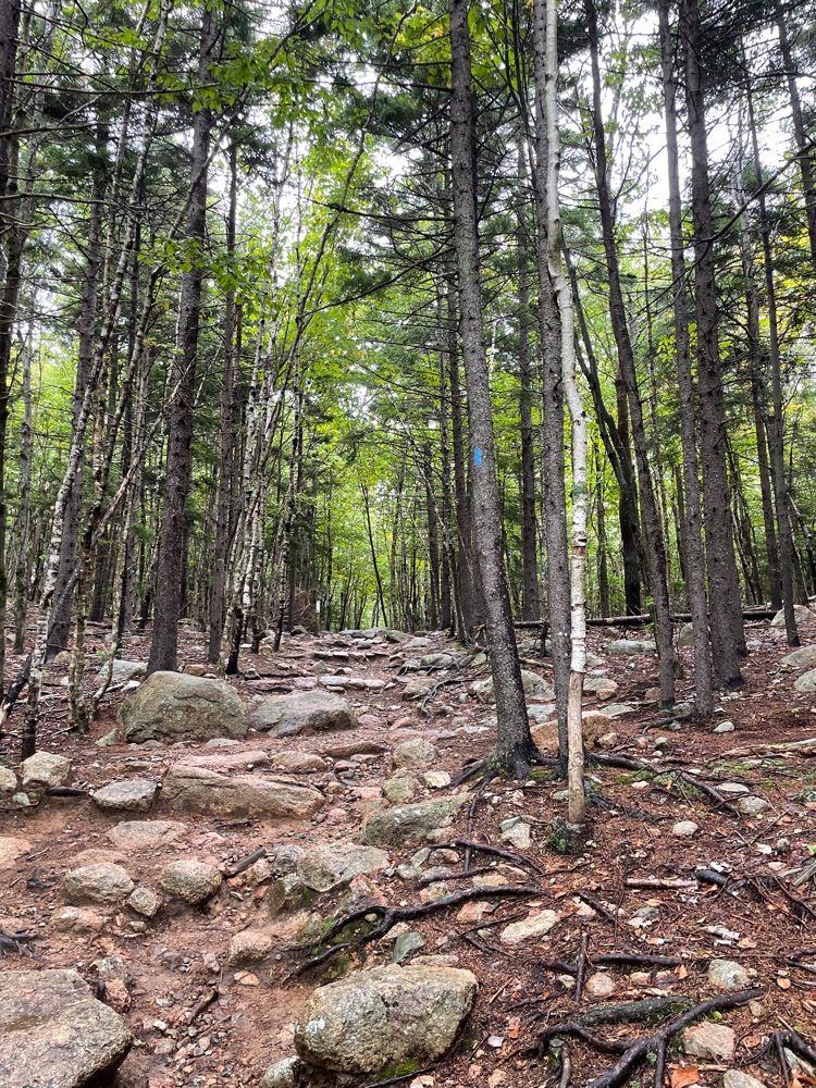 Acadia National park