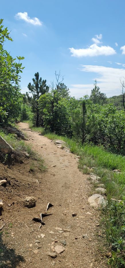 Mountain biking Cheyenne Mountain State Park
