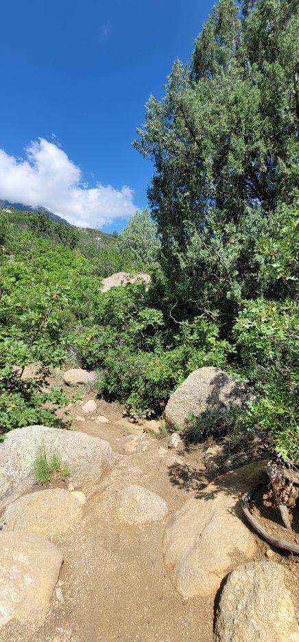 Mountain biking Cheyenne Mountain State Park