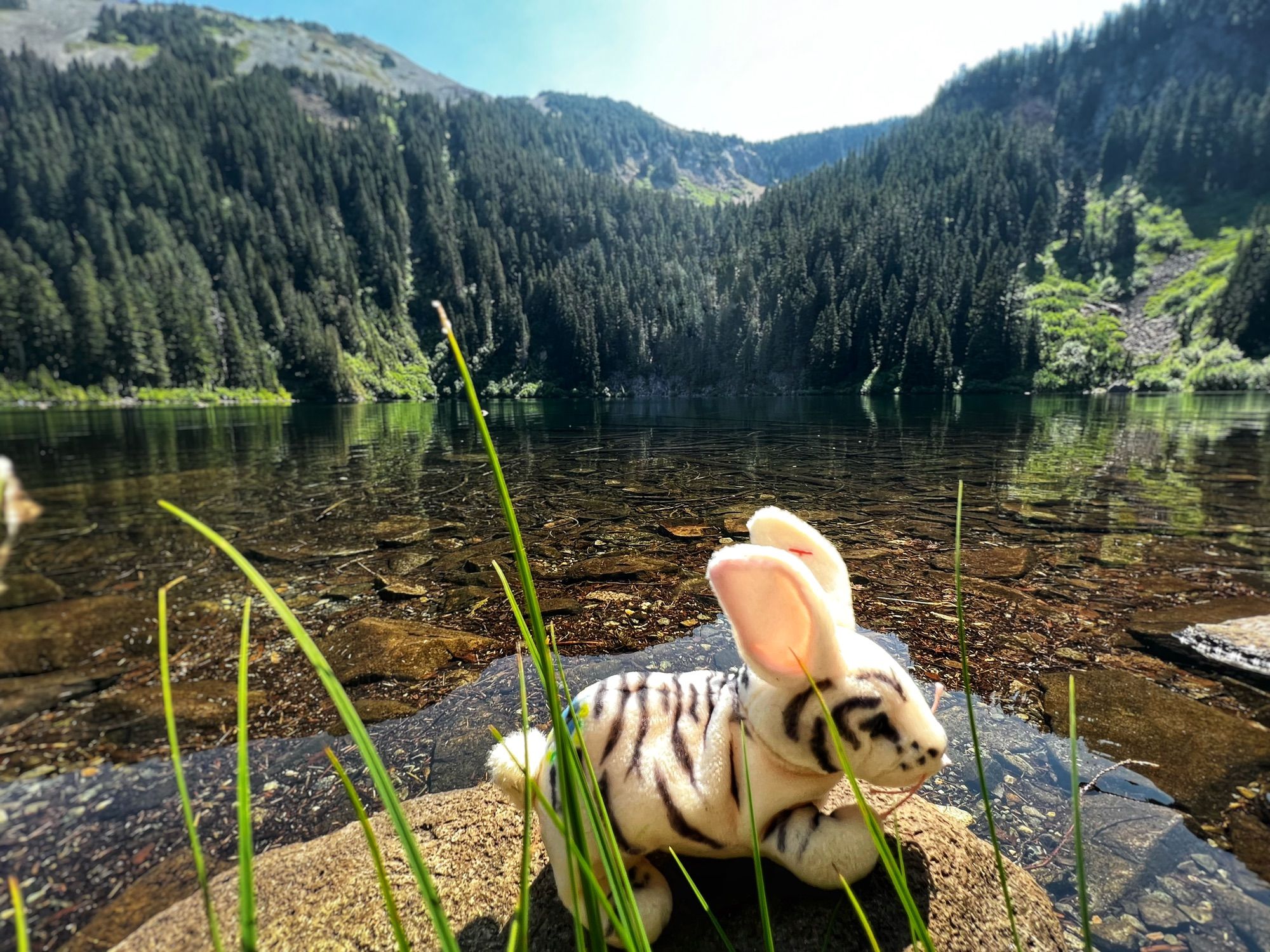 Annette Lake