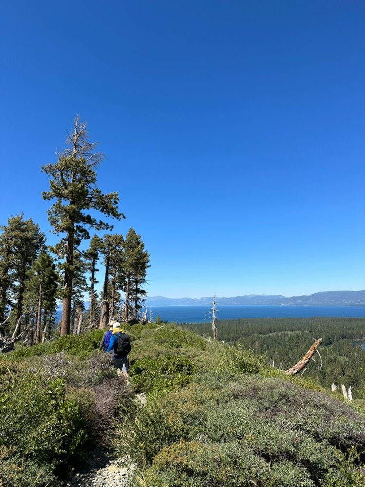 Mt. Tallac hike