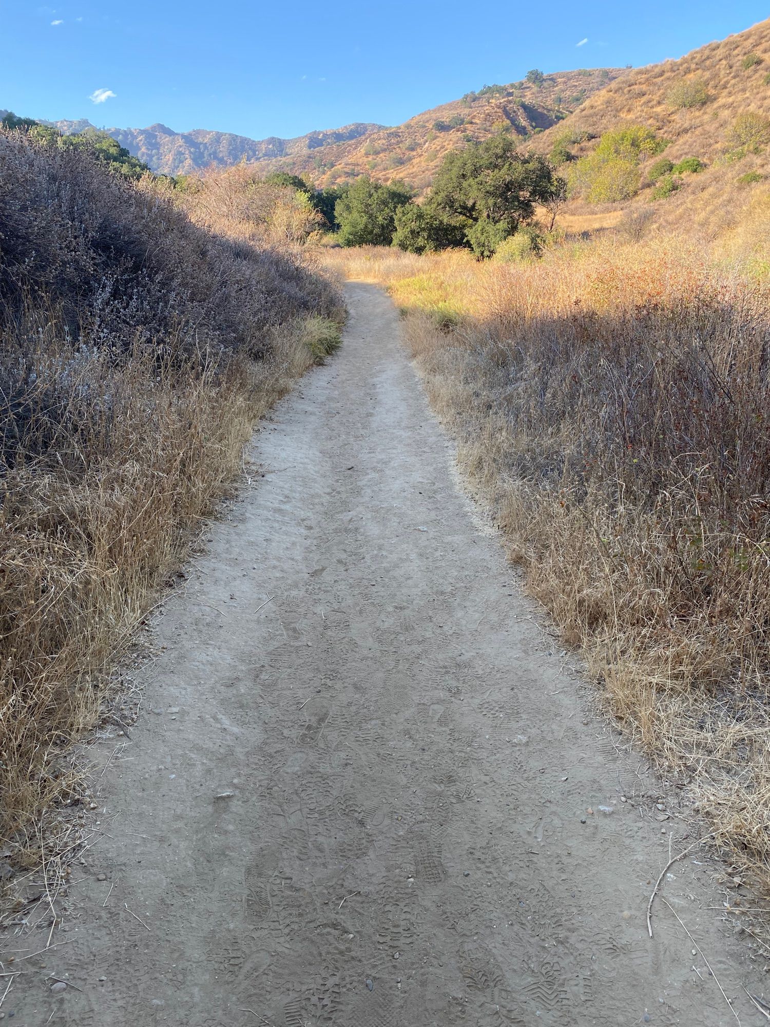 Towsley’s  Canyon View Loop to Elder Loop
