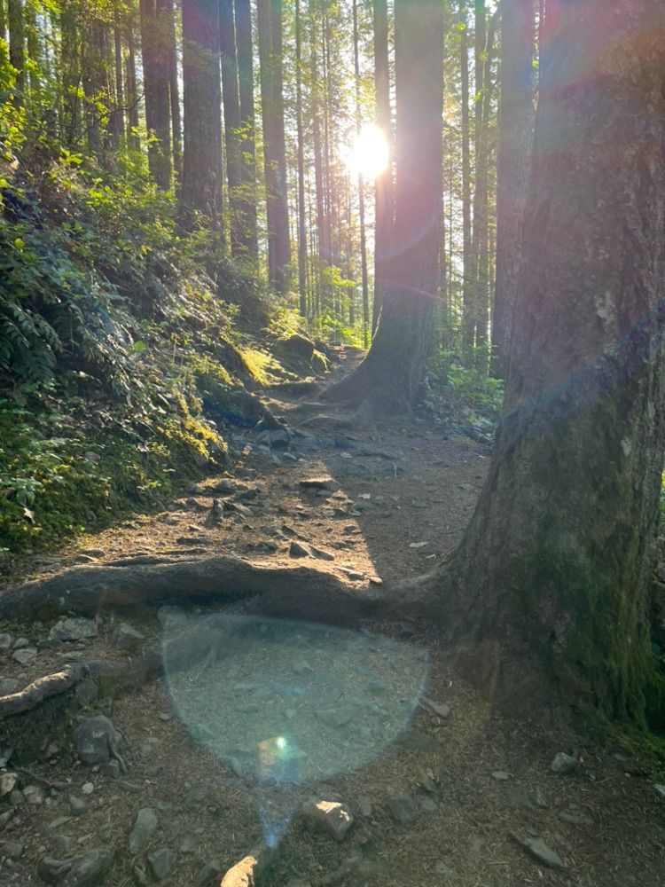 Morning adventure