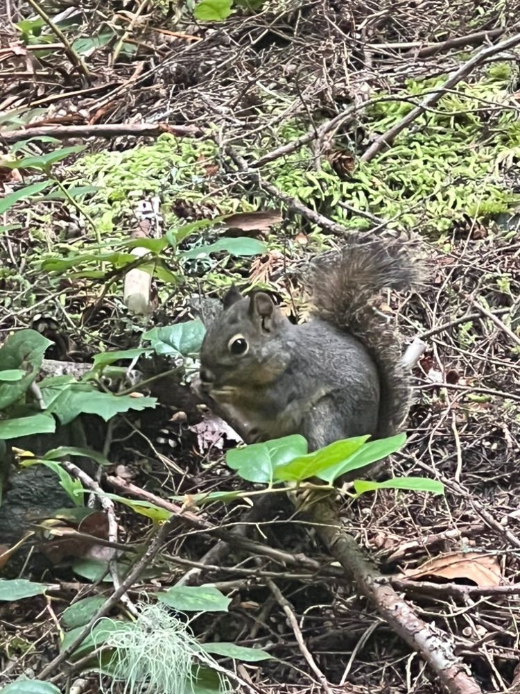 Morning adventure
