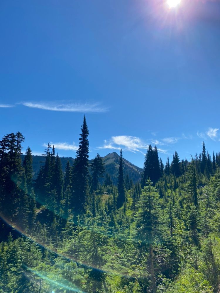 Naches peak loop hike