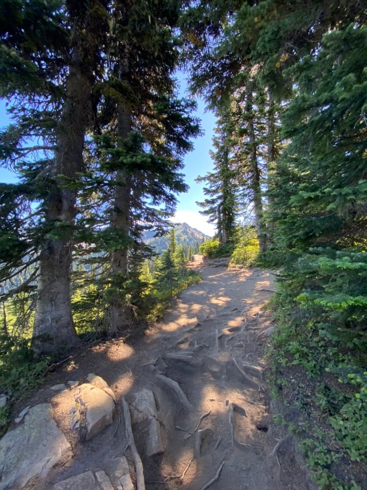 Naches peak loop hike