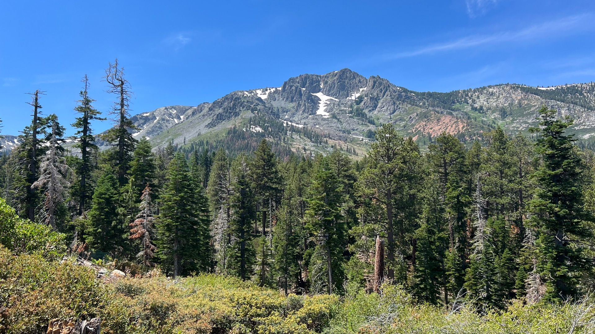 Mt Tallac Trail