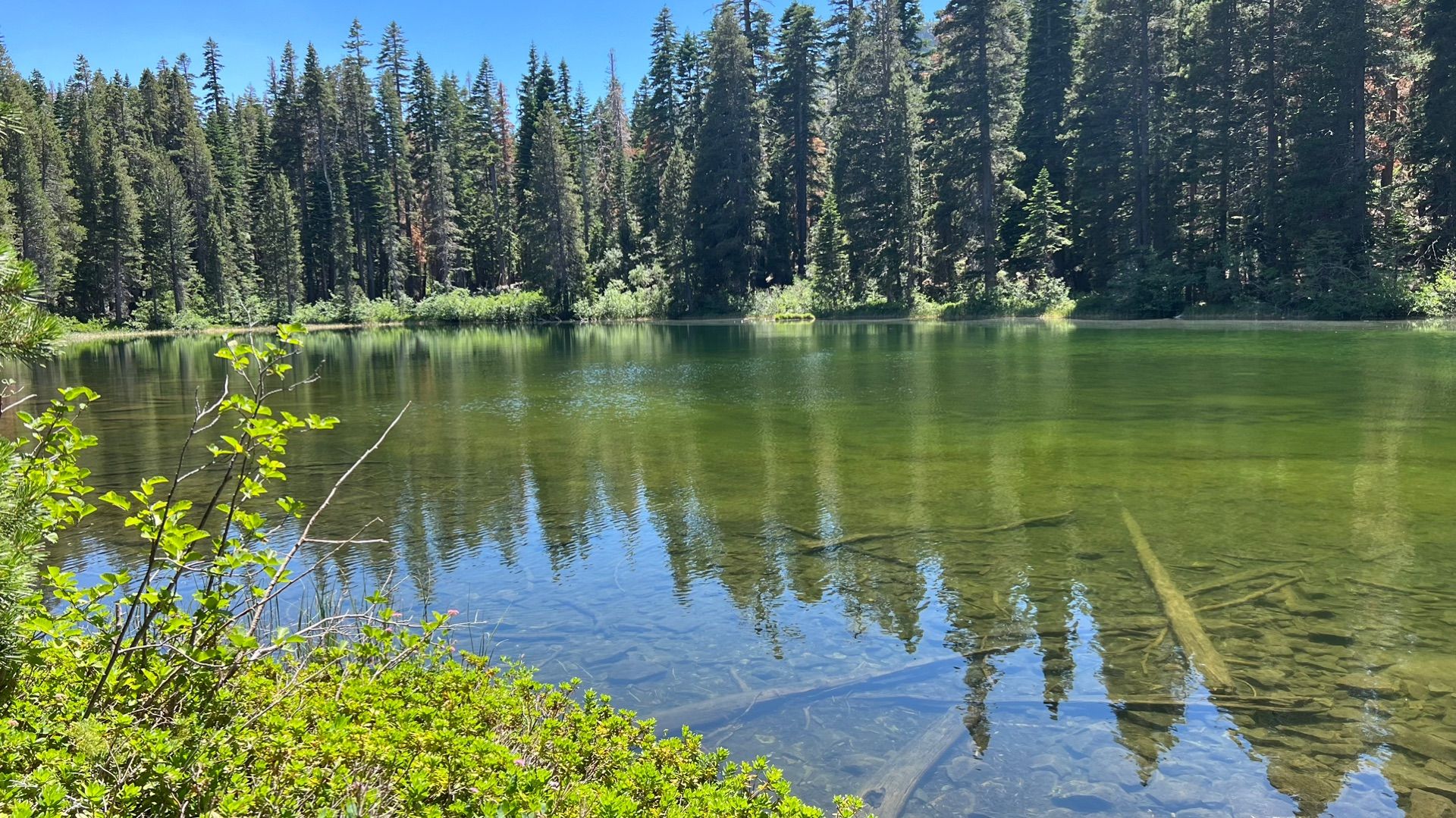 Mt Tallac Trail