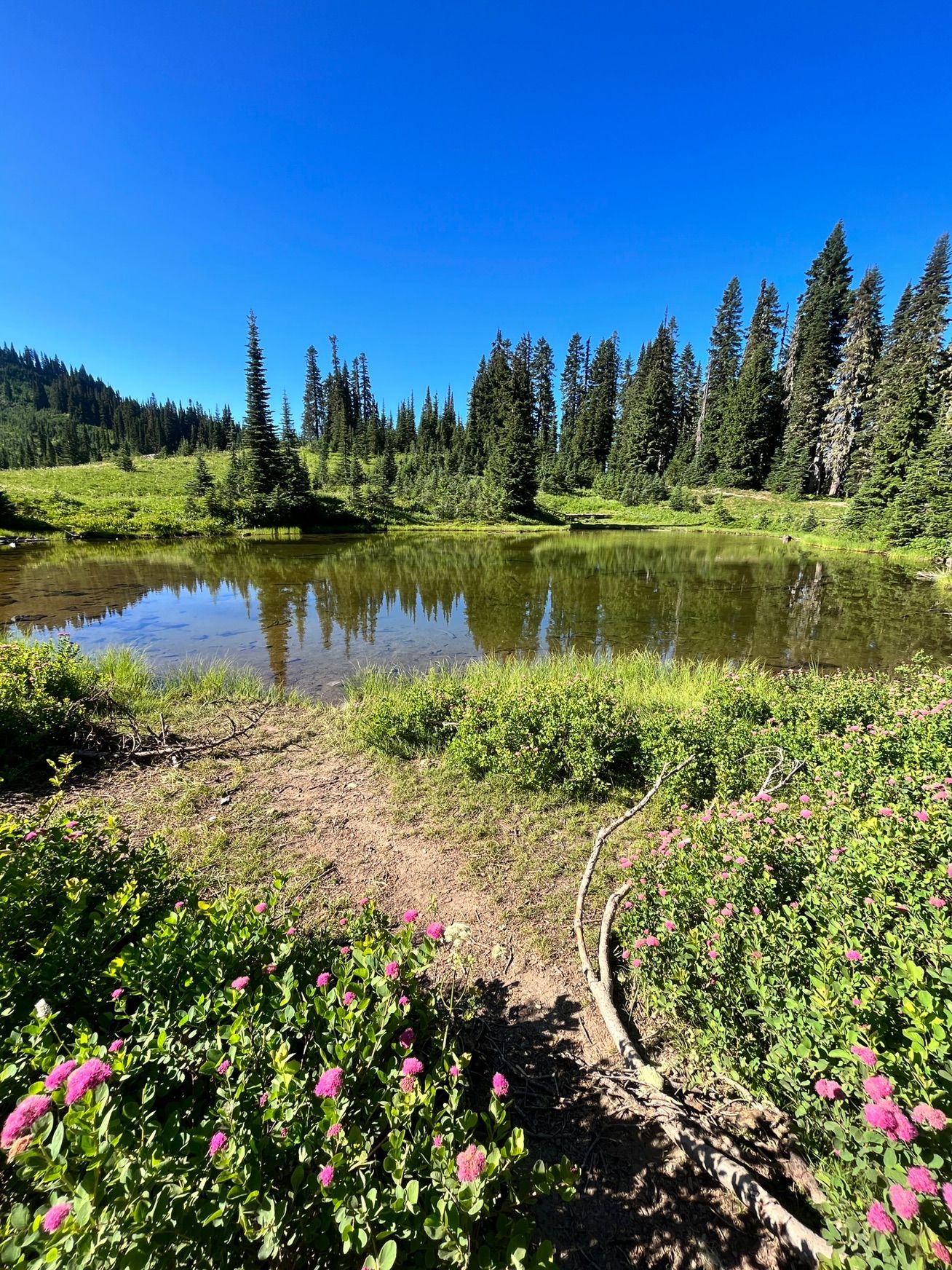 Naches Peak Loop