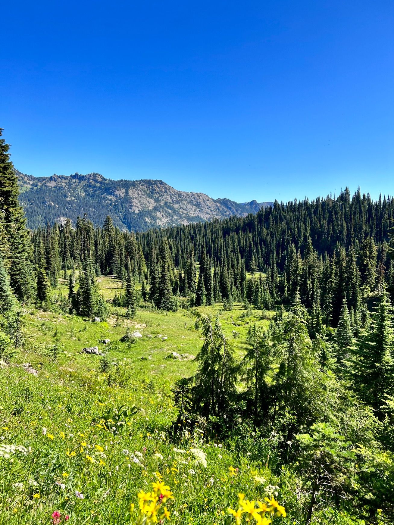 Naches Peak Loop