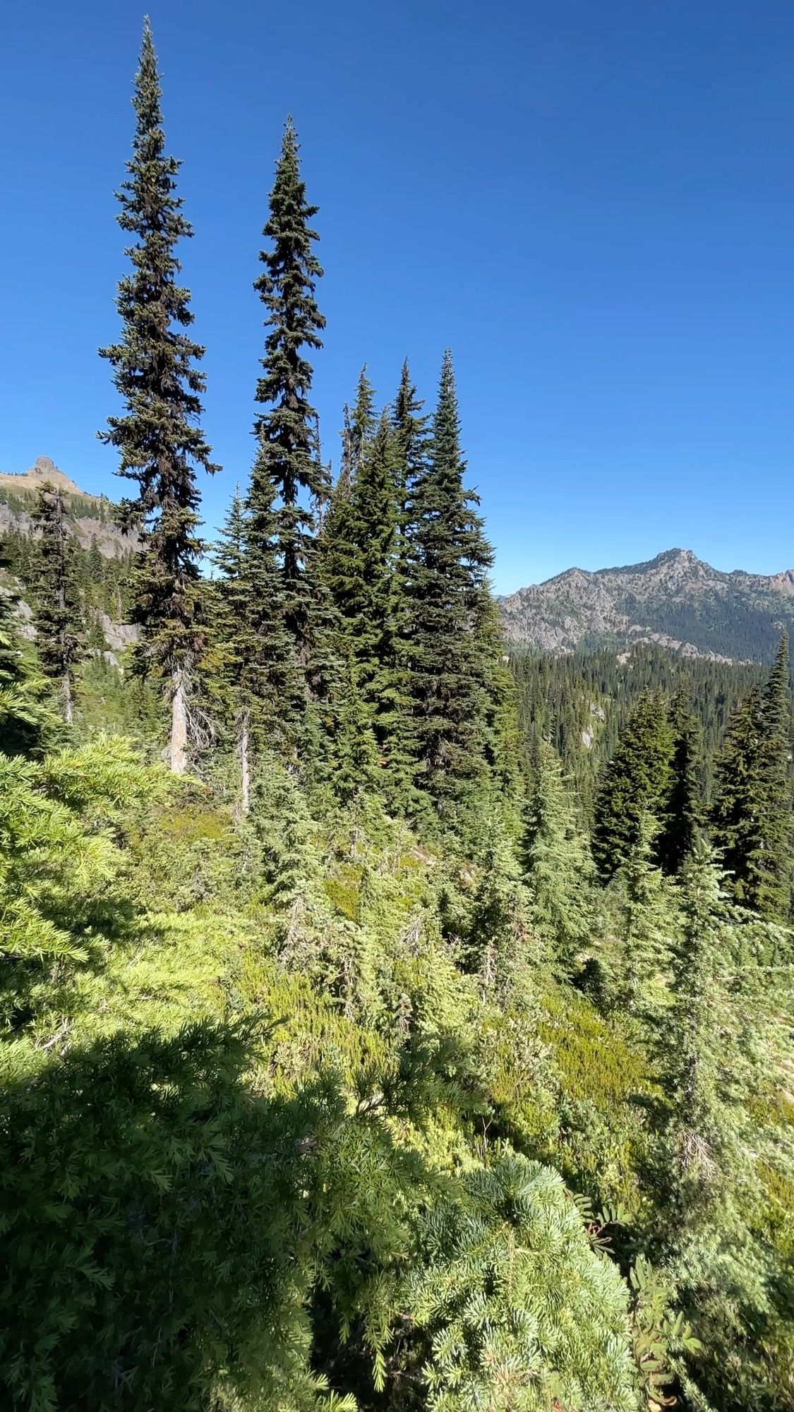 Naches Peak Loop