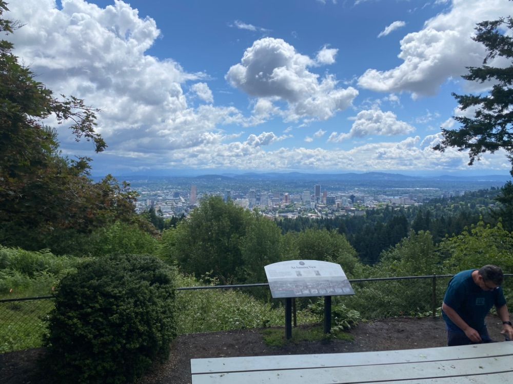 Forest Part to Pittock Mansion