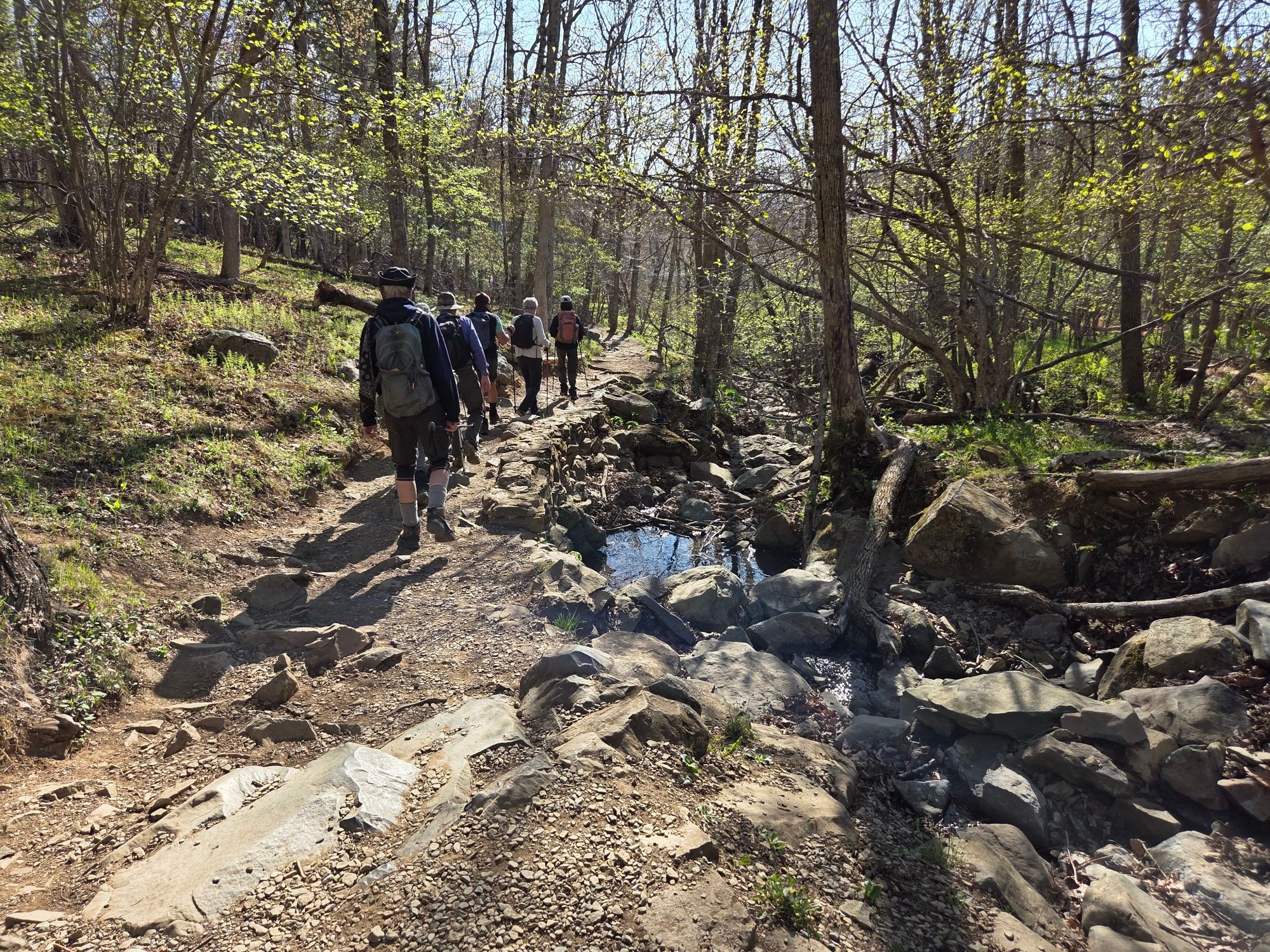 Activity thumbnail